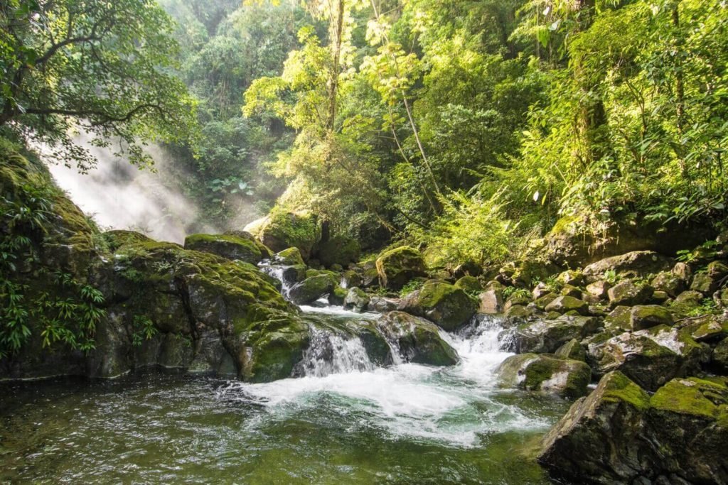 Guía para visitar el Parque Nacional Pico Bonito